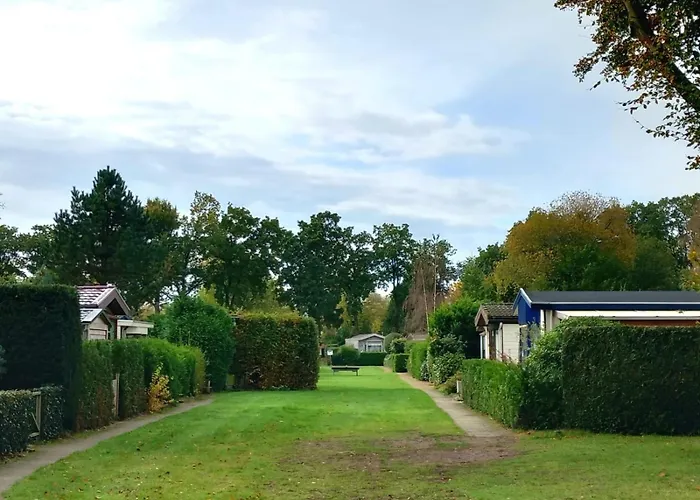 Damian Op De Veluwe Voorthuizen