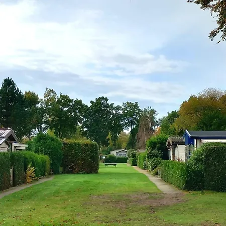 Damian Op De Veluwe Voorthuizen